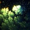 la nuit de la foret.gif